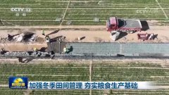 <b>加强冬季田间办理 夯实粮食出产根本</b>