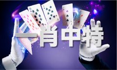 金码堂7799744