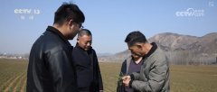 春耕春管向“新”而行 机械化育出丰收好