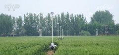 “聪慧种地”提质增效帮力夏粮丰登丰收